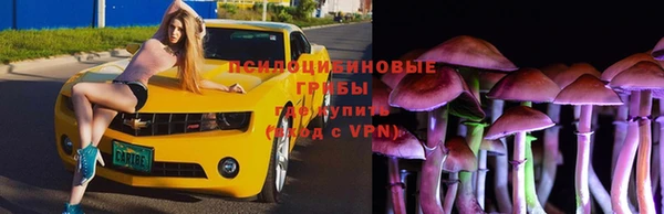 прущая мука Алзамай