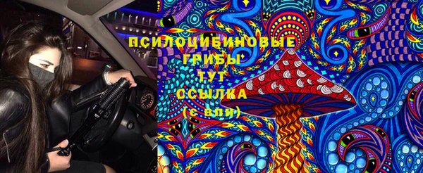 метамфетамин Алексеевка